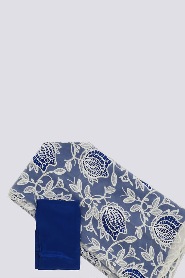 Blue &amp; White Pure Crepe Net Saree