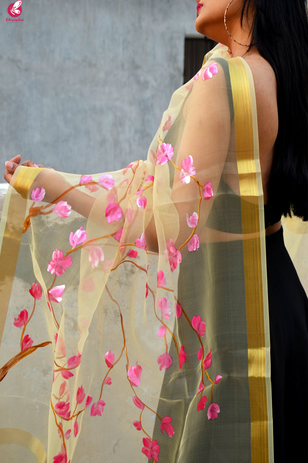 Cream Organza Floral Hand Painted Stole