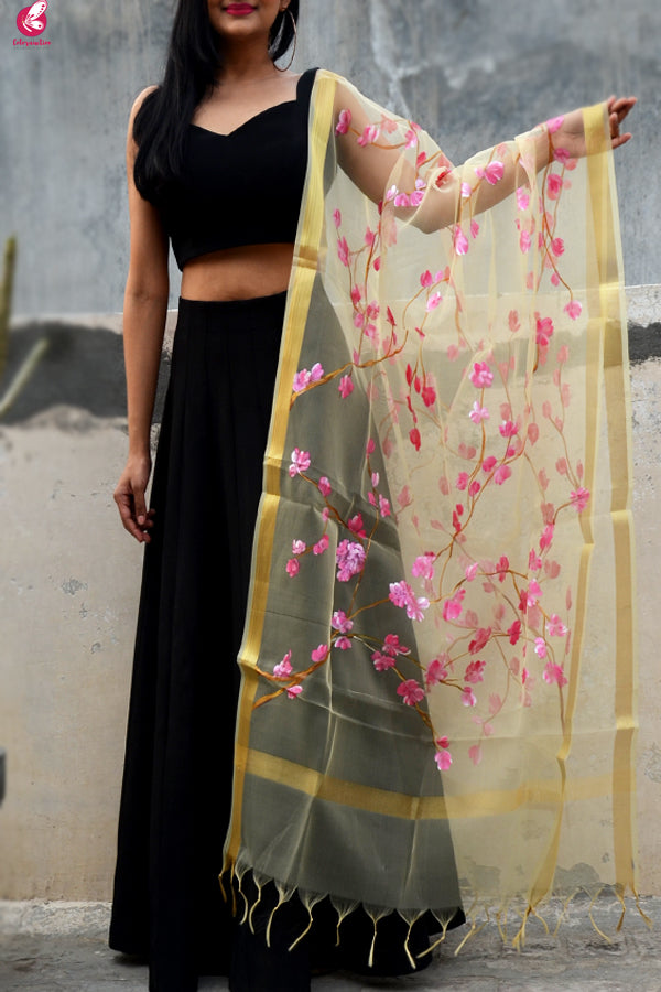 Cream Organza Floral Hand Painted Stole