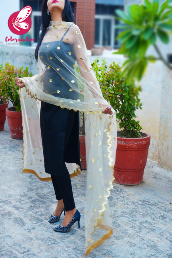 Off White Heavy Net Embellished Border Dupatta