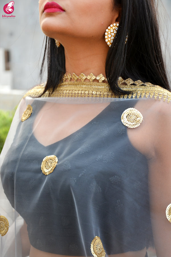 Grey Net Double Border Dupatta