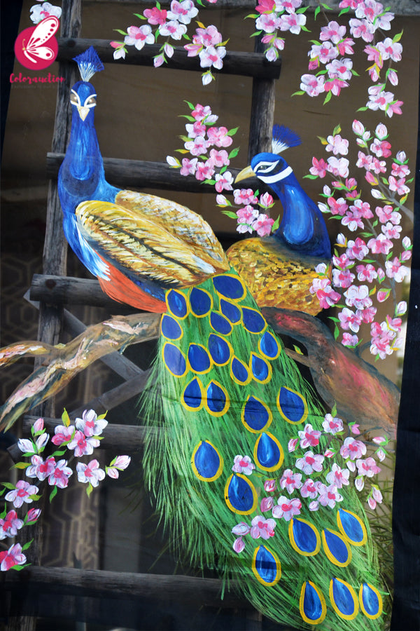 Black Organza Handpainted Peacock Colourful Floral Statement Stole