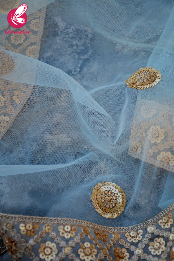 Sky Blue Heavy Net Zari Border Dupatta