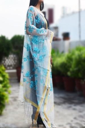Off White Organza Hand painted Stole