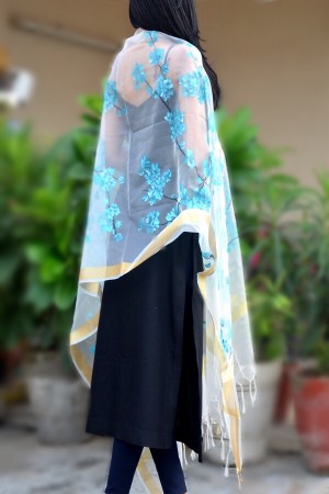 Off White Organza Hand painted Stole